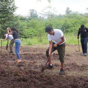 OLOG-EDIBLE-GARDEN